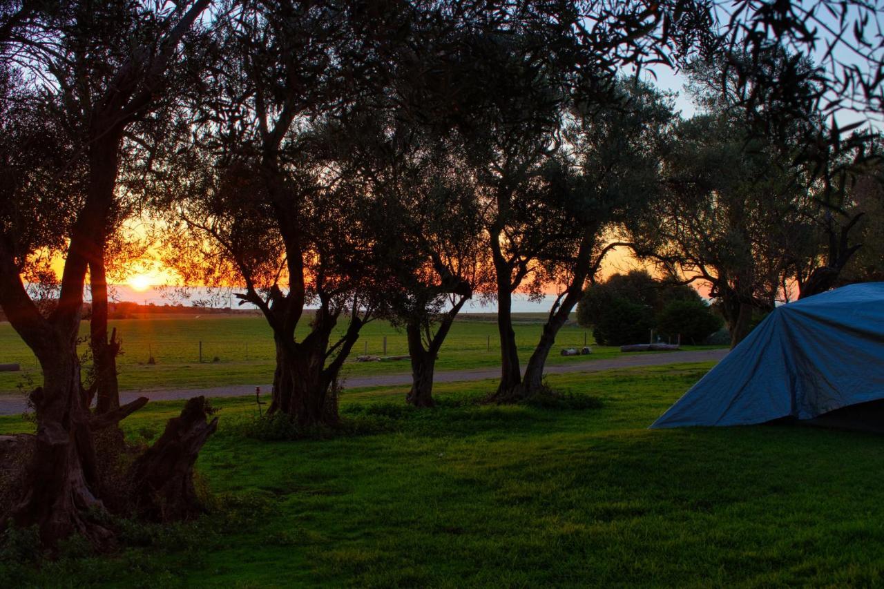 Big4 Cape Jervis Accommodation & Caravan Park Ngoại thất bức ảnh